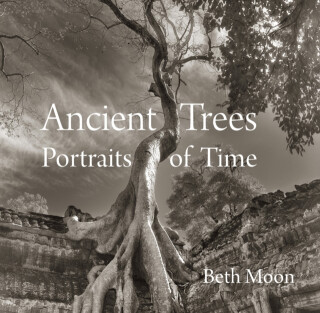 Ancient Trees - Beth Moon