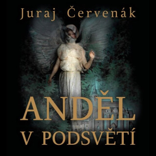 Anděl v podsvětí - Juraj Červenák