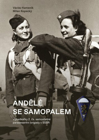 Andělé se samopalem - Milan Kopecký,Kameník Václav