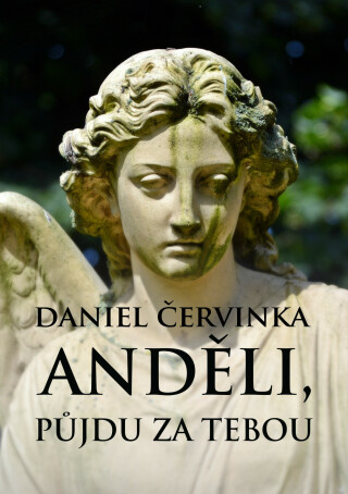 Anděli, půjdu za tebou - Daniel Červinka
