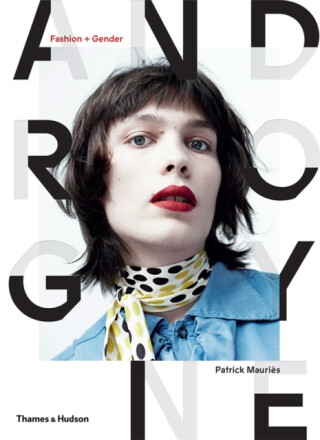 Androgyne - Patrick Mauriès