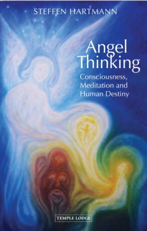 Angel Thinking - Hartmann Steffen