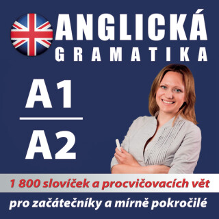 Anglická gramatika 1 - koletiv autorů