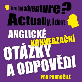 Anglické konverzační otázky a odpovědi pro pokročilé - Ludvík Richard