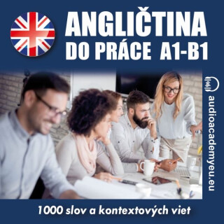 Angličtina do práce A1-B1 - audioacademyeu