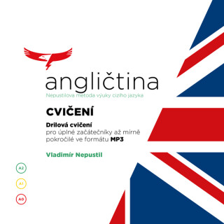 Angličtina - Nepustilova metoda – Cvičení - Vladimír Nepustil