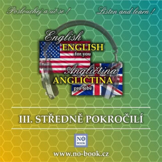 Angličtina pro tebe 3 - Středně pokročilí - Ludvík Richard