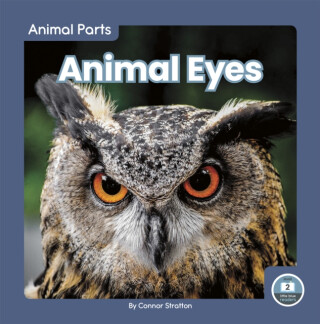 Animal Eyes - Connor Stratton