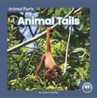 Animal Tails - Connor Stratton