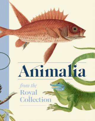 Animalia - 