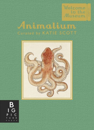 Animalium (Mini Gift Edition) - Jenny Broomová