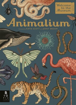 Animalium (Welcome To The Museum) - Katie Scott