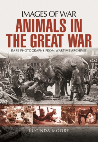 Animals in the Great War - Lucinda Moore
