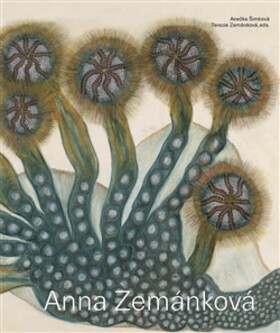 Anna Zemánková - Terezie Zemánková,Anežka Šimková