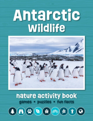 Antarctic Wildlife Nature Activity Book - James Kavanagh