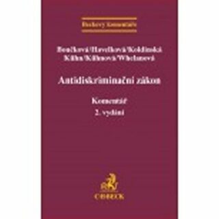 Antidiskriminační zákon - Barbara Havelková,Pavla Boučková,Kristina Koldinská