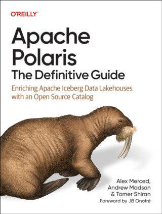 Apache Polaris - The Definitive Guide - Alex Merced,Tomer Shiran,Andrew Madson