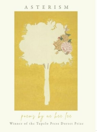 Aram's Notebook - Maria Angels Anglada