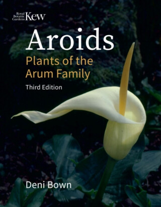 Aroids - Bown Deni