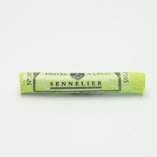 Artist soft pastel 205 Apple Green - 