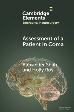 Assessment of a Patient in Coma - Alexander  Shah,Holly  Roy