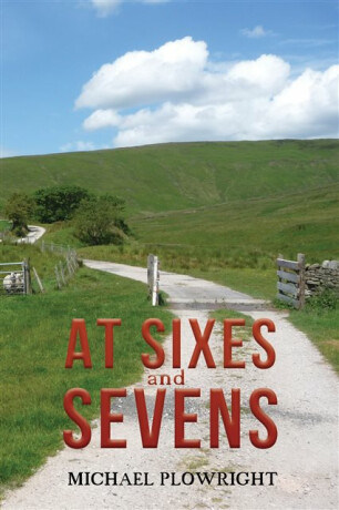 At Sixes and Sevens - Michael Plowright