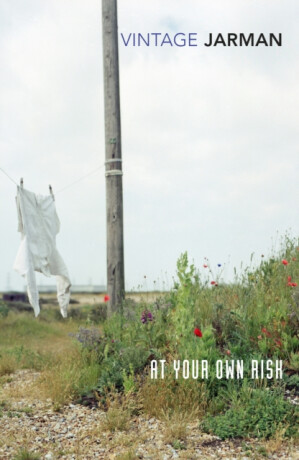 At Your Own Risk - Derek Jarman