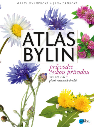Atlas bylin - Marta Knauerová,Jana Drnková