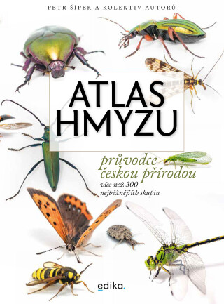 Atlas hmyzu - Petr Šípek,Jiří Hadrava,Lucie Hrůzová,David Sommer,Šimon Zeman