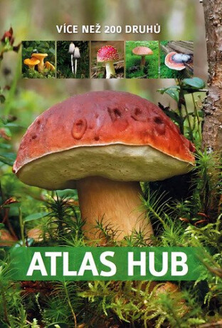 Atlas hub - Více než 200 druhů - Patrycja Zarawska