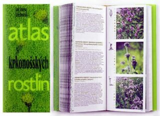 Atlas krkonošských rostlin - Jiří Dvořák,Jan Štursa