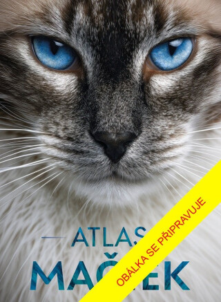 Atlas mačiek - Neznámý