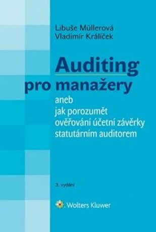Auditing pro manažery - Libuše Müllerová,Vladimír Králíček