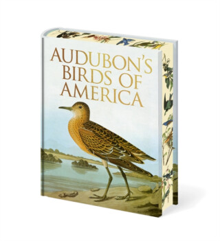 Audubon's Birds of America - John-James Audubon