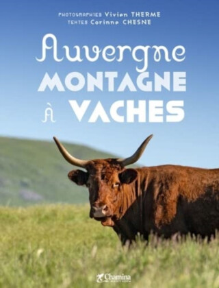 Auvergne montagne a vaches - 