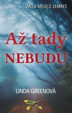 Až tady nebudu - Za 18 měsíců zemřeš - Linda Greenová