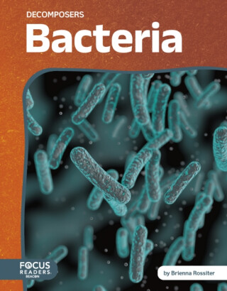 Bacteria - Brienna Rossiter