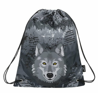 Bagmaster Klučičí školní sáček na přezůvky, nebo sport SHOES MERCURY 9 C GRAY/BLUE/YELLOW - neuveden