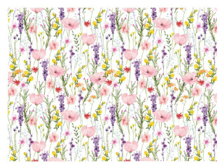 Balicí papír K361 100x70 LUX - 