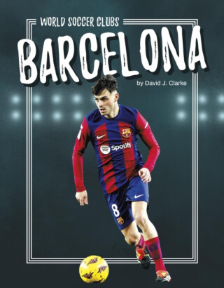 Barcelona - David J. Clarke
