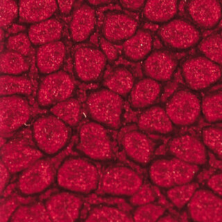 Barva Pébéo Fantasy Prisme 45ml – 14 Cherry blossom - 