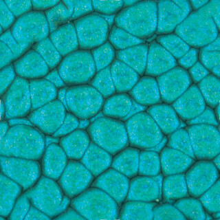 Barva Pébéo Fantasy Prisme 45ml – 40 Turquoise - 