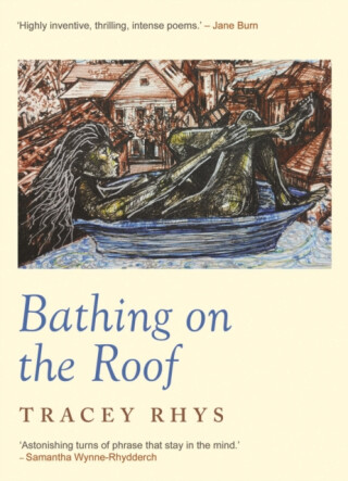 Bathing on the Roof - Tracey Rhys