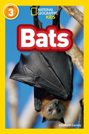 Bats - Carney Elizabeth,National National Geographic Kids