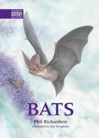 Bats - Phil Richardson