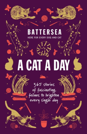 Battersea Dogs and Cats Home - A Cat a Day - Battersea Dogs and Cats Home