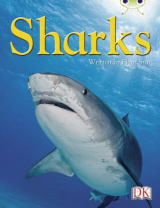 BC NF Blue (KS2) B/4A Sharks - Fleur Star