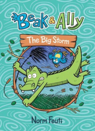 Beak & Ally #3: The Big Storm - Norm Feuti