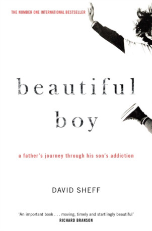 Beautiful Boy - David Sheff