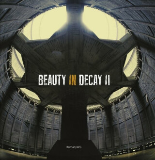 Beauty in Decay Ii - 